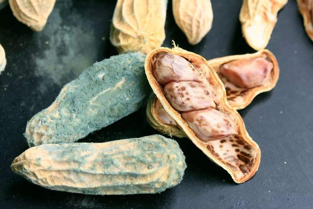 致癌物质防不胜防，小粒径负离子为人们拉起抗癌防线